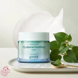 Goodal Heartleaf Hyaluron Soothing Cream 75ml